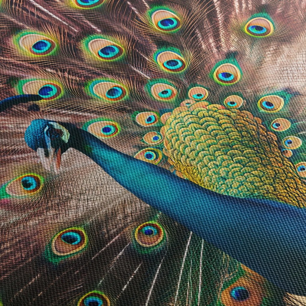 Obraz - Paw (170x50 cm)