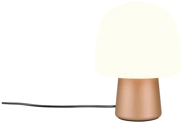 Biało-brązowa lampa stołowa ze szklanym kloszem (wysokość 27 cm) Steen – Trio