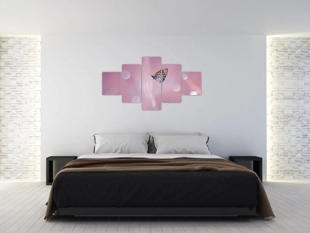 Obraz - Motylek (125x70 cm)