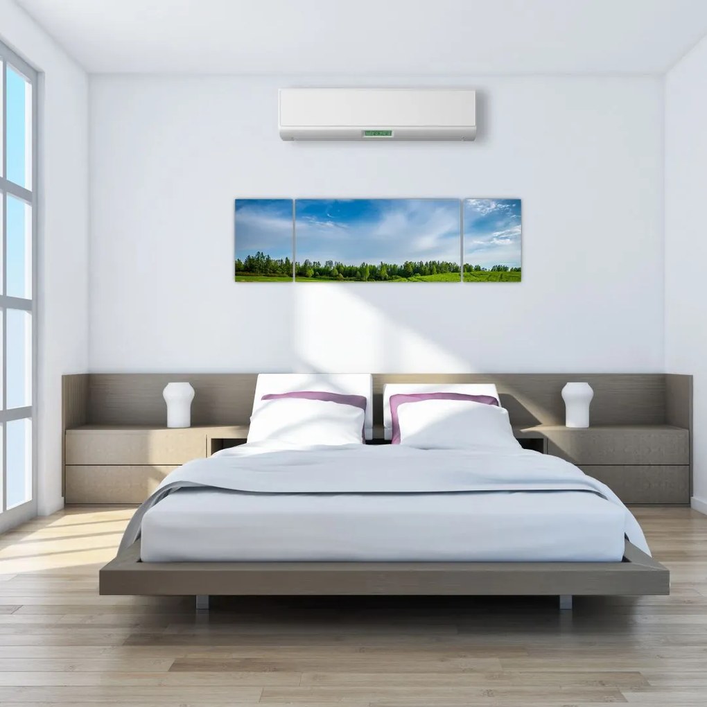 Obraz łąki (170x50 cm)