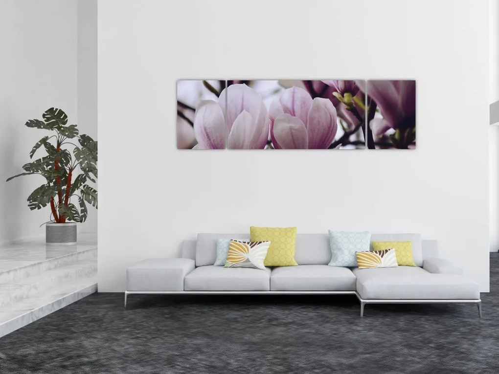 Obraz - Magnolia (170x50 cm)