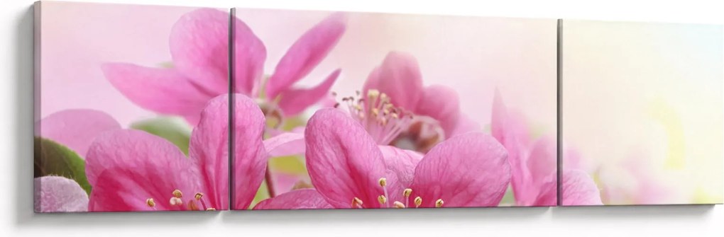 Obraz - Różowe kwiaty (170x50 cm)