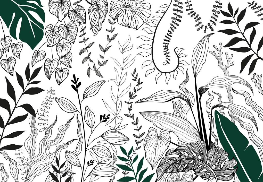 Fototapeta - Ogród botaniczny (196x136 cm)