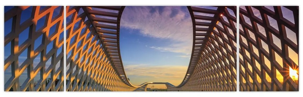 Obraz nowoczesnej architektury mostowej (170x50 cm)