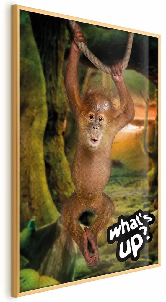 Plakat What's Up 29,7x42 cm z ramą złotą bez marginesu ARTGEIST B