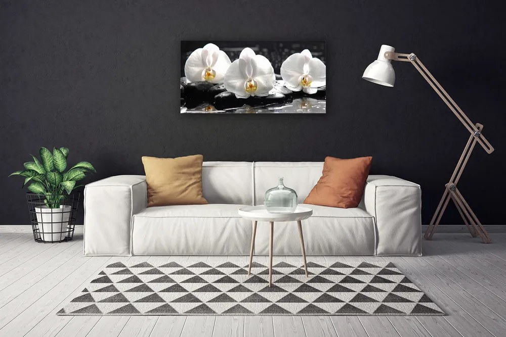 Obraz canvas Subtelny Biały Storczyk