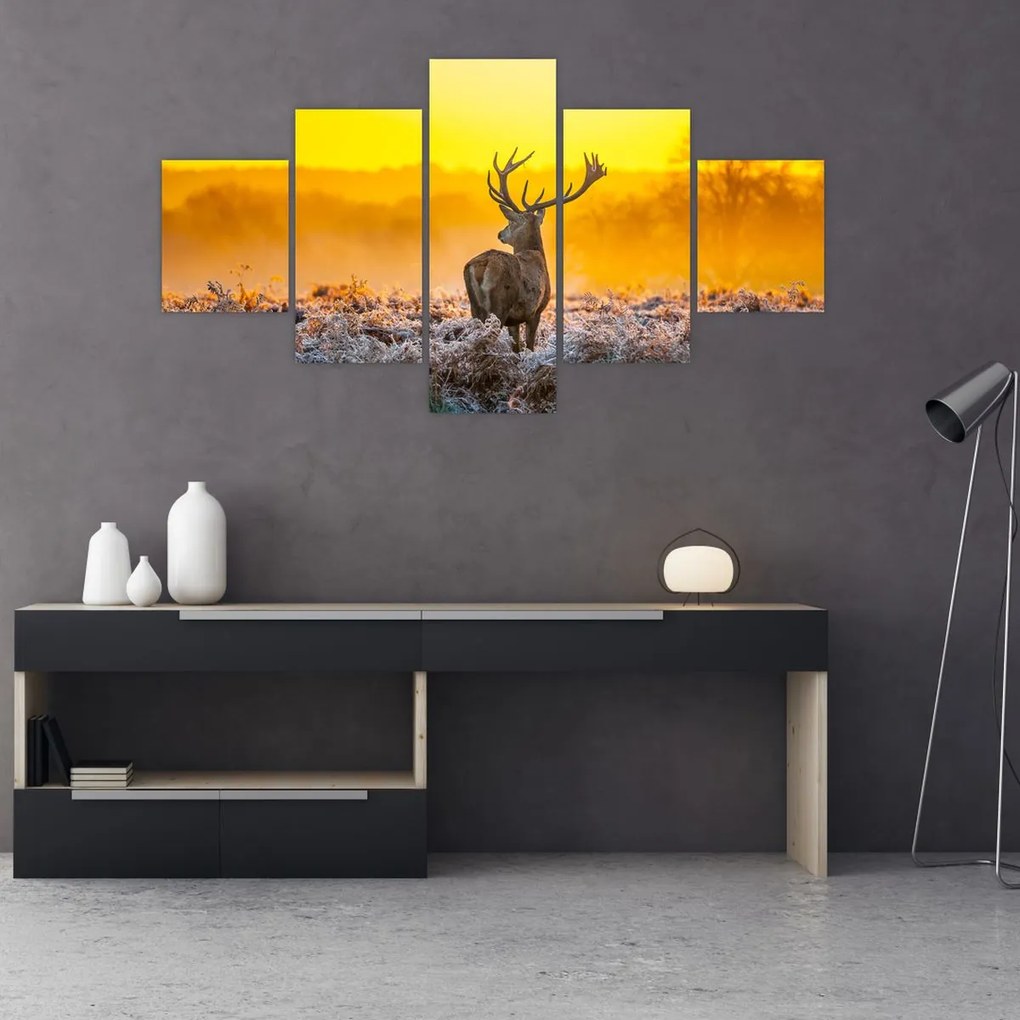 Obraz - Jeleń o wschodzie słońca (125x70 cm)