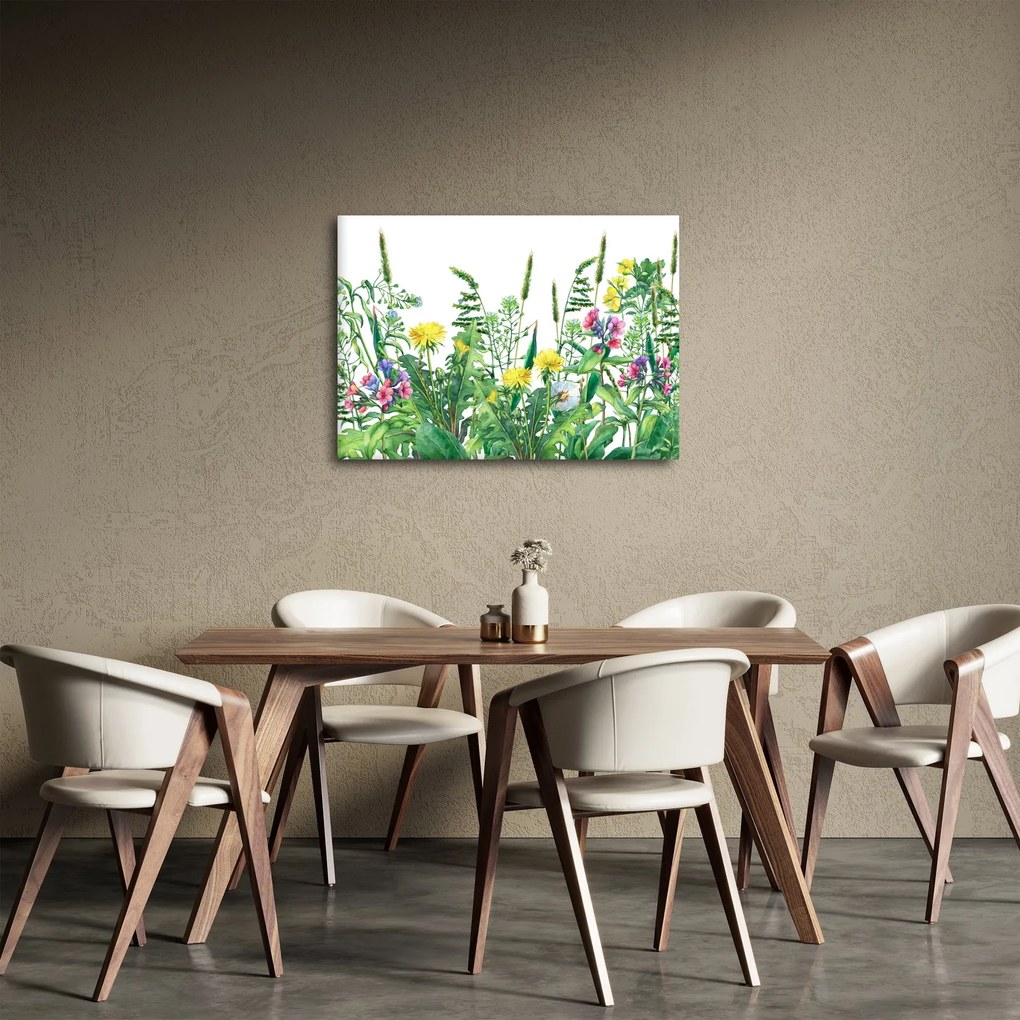 Obraz - Malowane kwiaty łąkowe (70x50 cm)