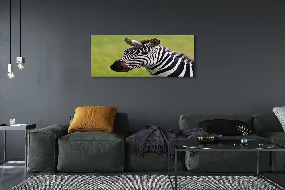 Obraz na płótnie Zebra