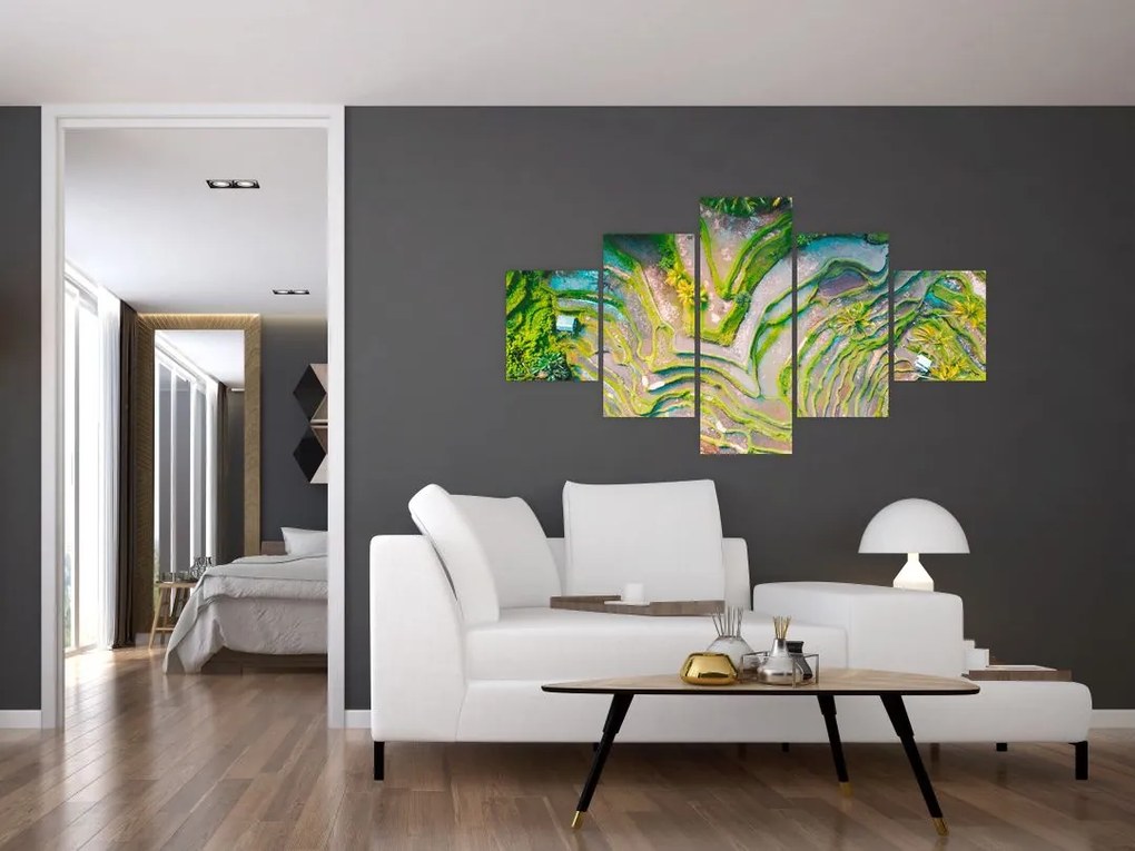 Obraz pól ryżowych z lotu ptaka (125x70 cm)