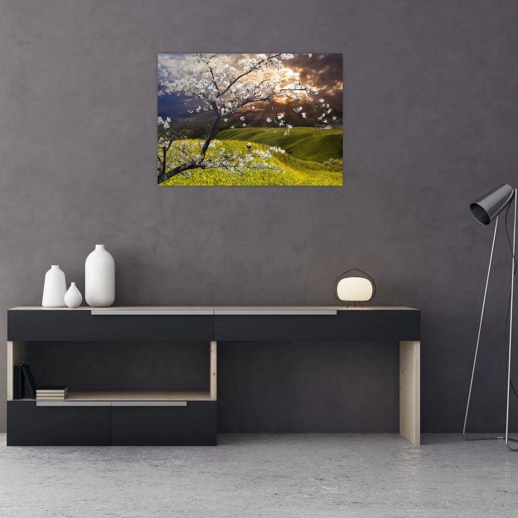 Obraz - Kwitnące drzewo w krajobrazie (70x50 cm)