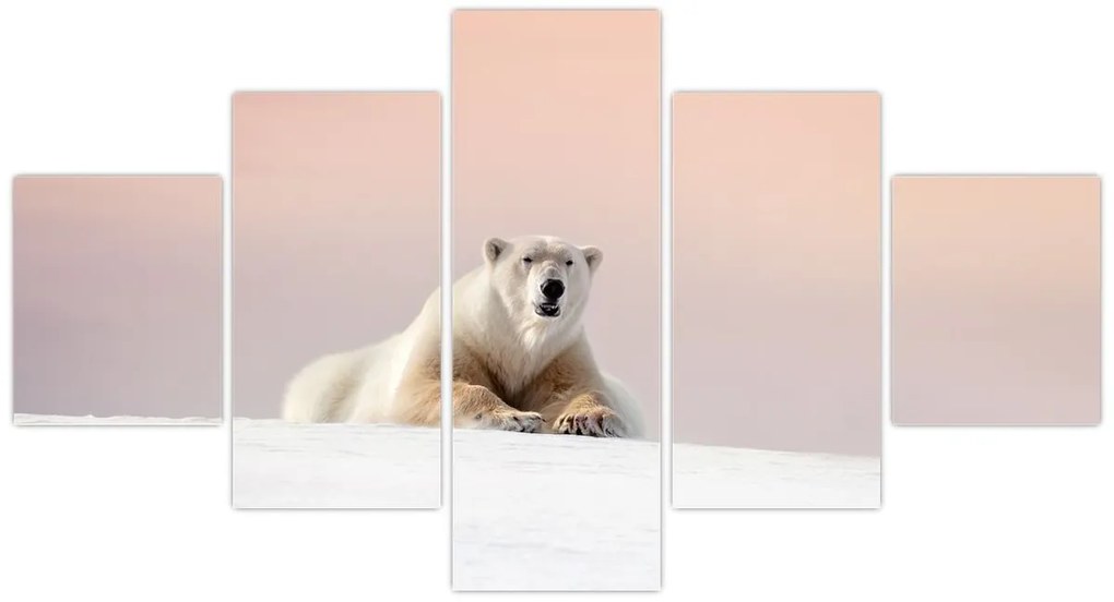 Obraz - Niedźwiedź polarny (125x70 cm)
