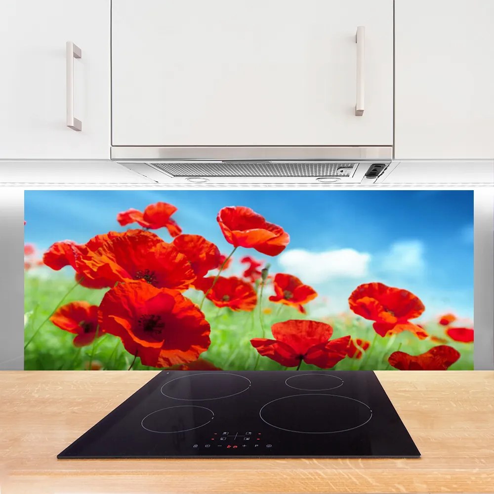 Panel Szklany Maki w Porannej Rosie