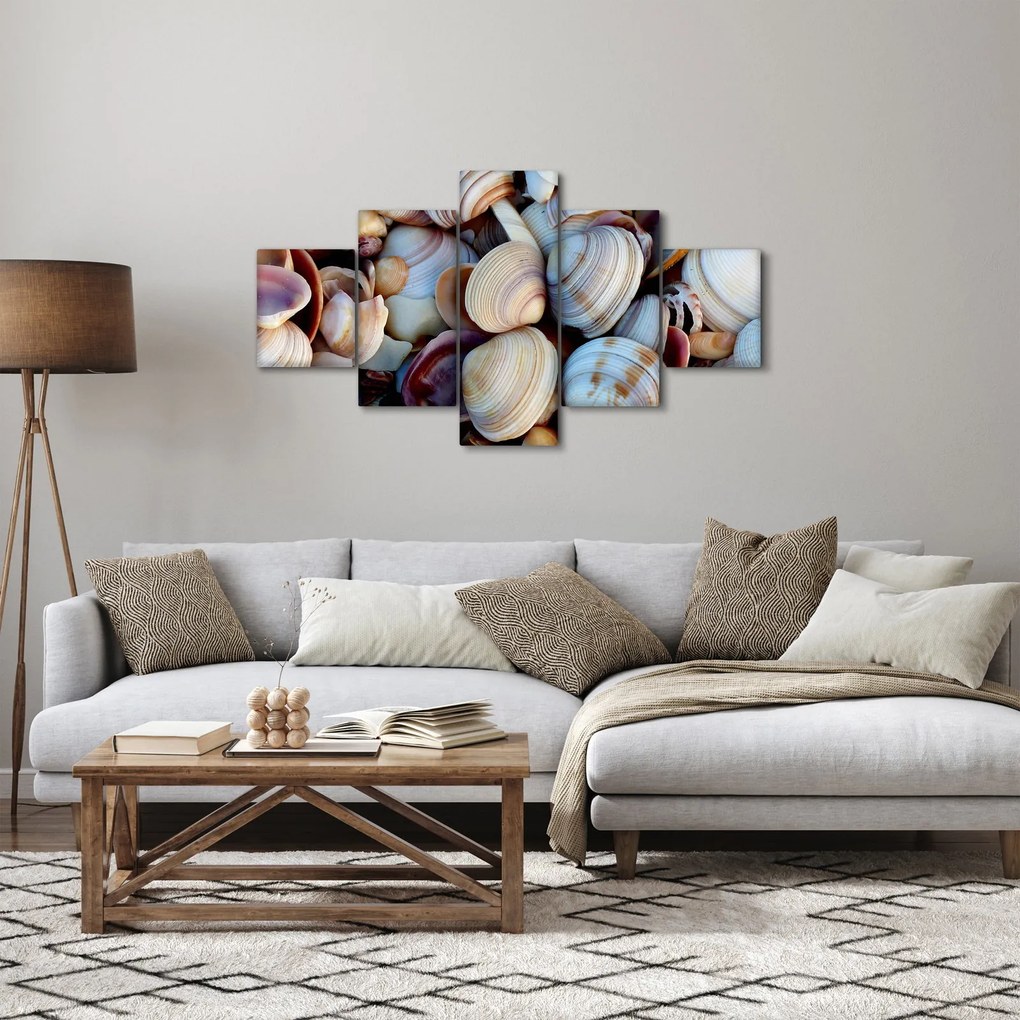 Obraz muszelek (125x70 cm)