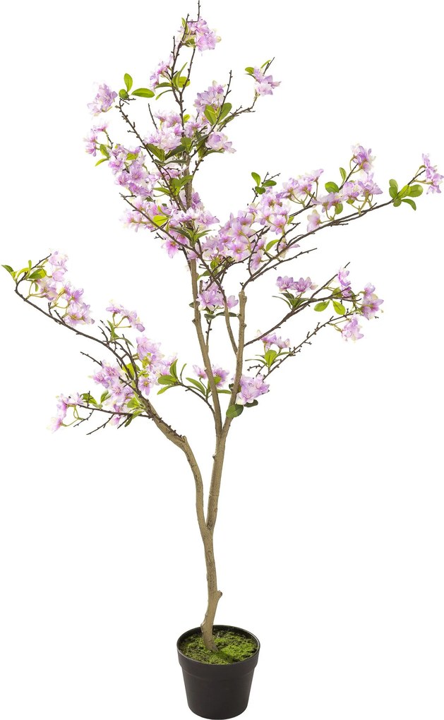 Drzewko Sakura w doniczce 130 cm