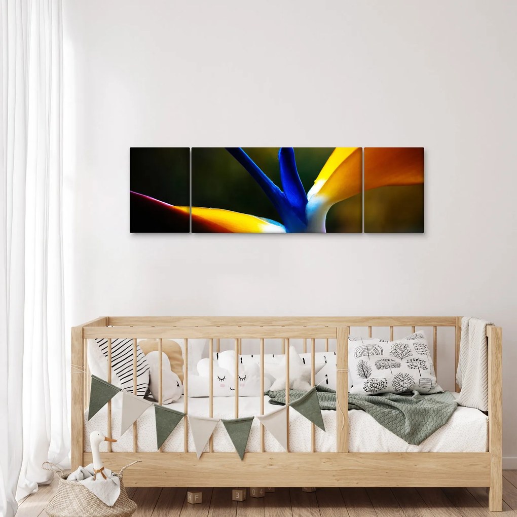 Obraz - Egzotyczny kwiat (170x50 cm)