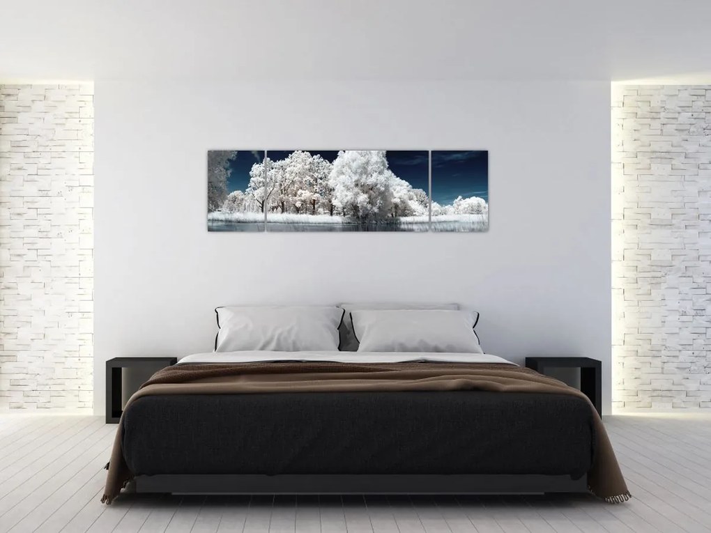 Obraz - Śnieżnobiałe drzewa (170x50 cm)