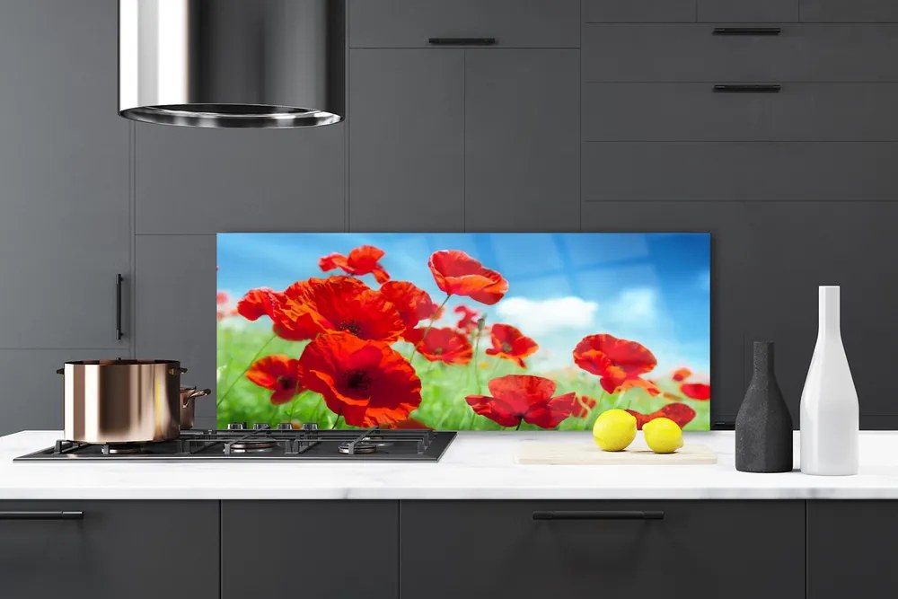 Panel Szklany Maki w Porannej Rosie