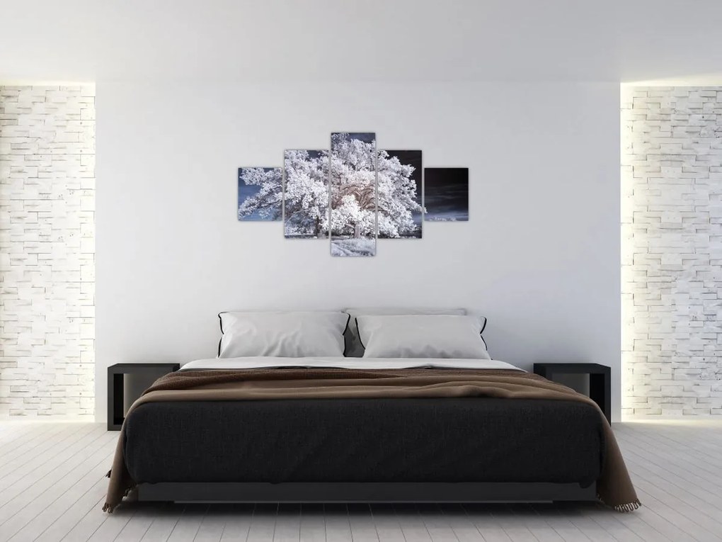 Obraz - Śnieżnobiałe drzewo (125x70 cm)