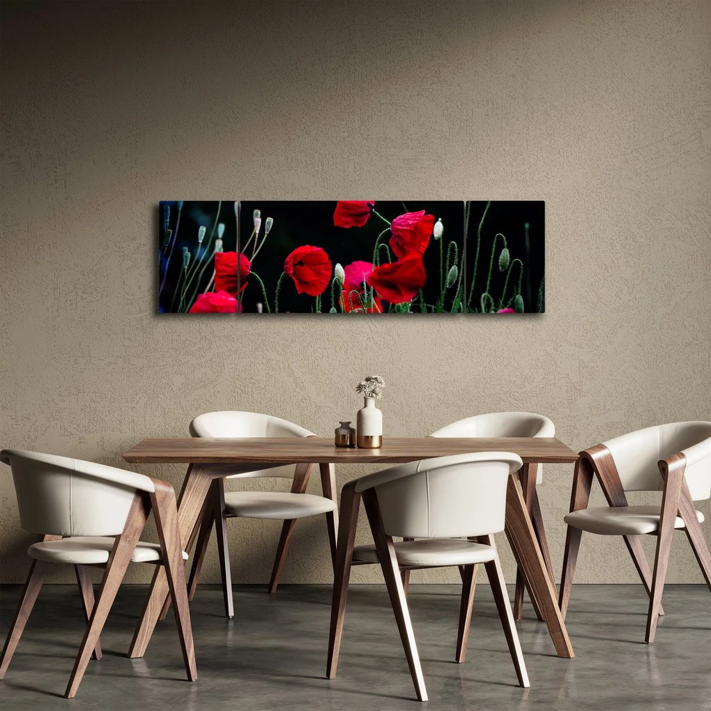 Obraz - Taniec maków (170x50 cm)