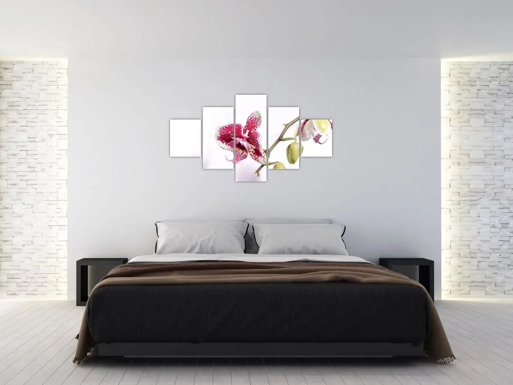 Obraz kwiatu orchidei (125x70 cm)