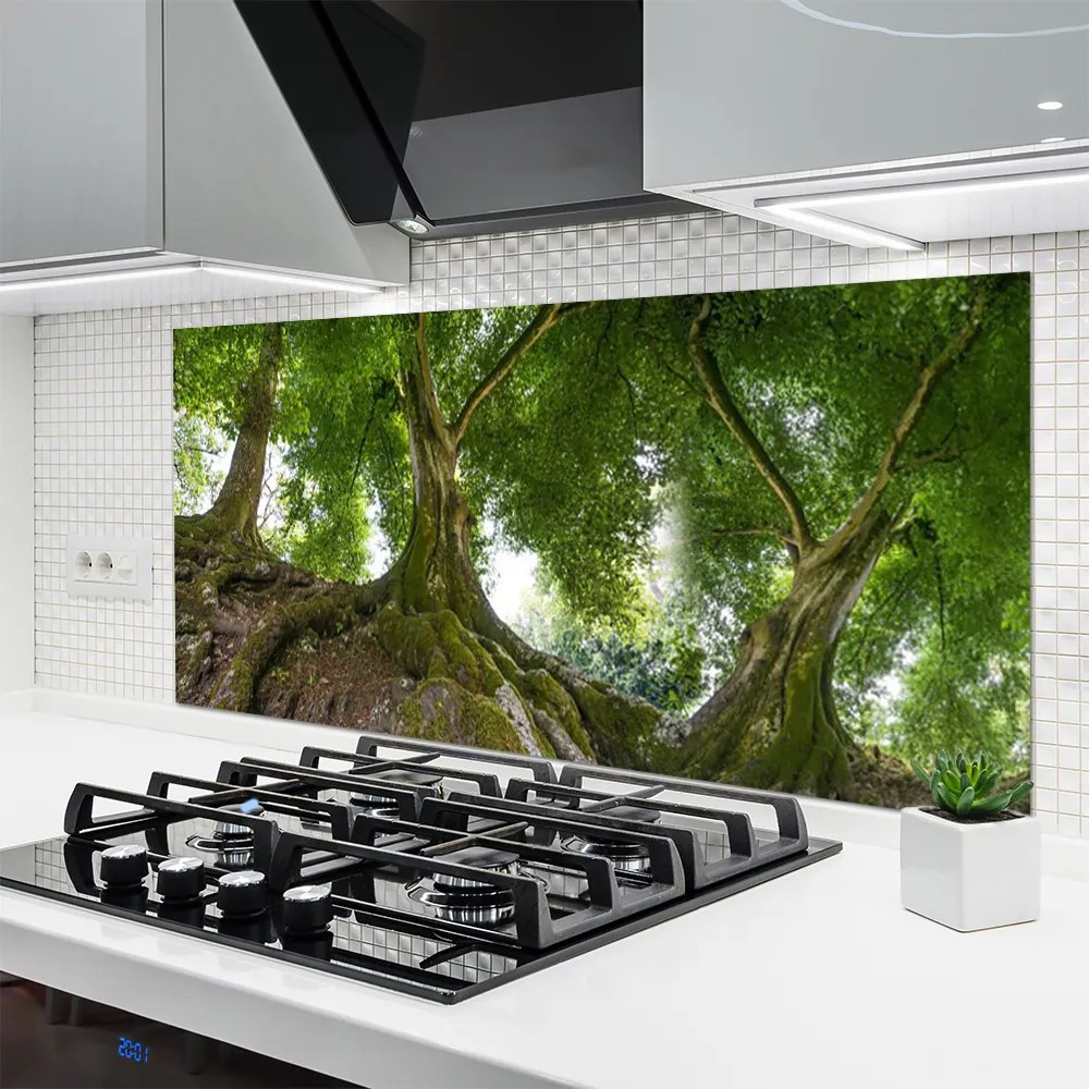 Panel Szklany do Kuchni Korony Rozłożystych Drzew