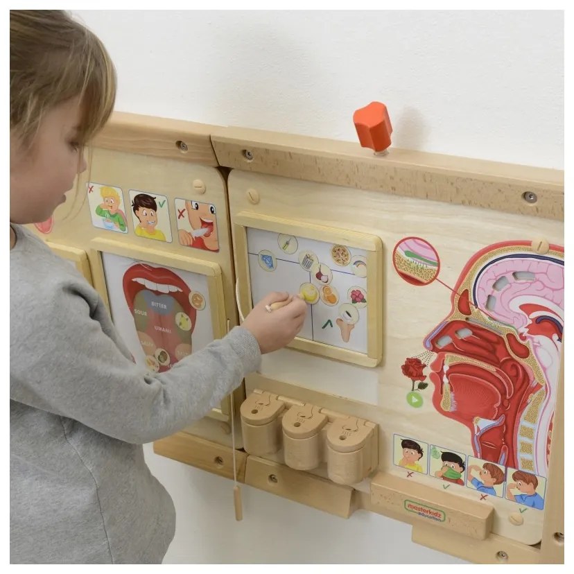 Masterkidz tablica edukacyjna zmysł węchu montessori