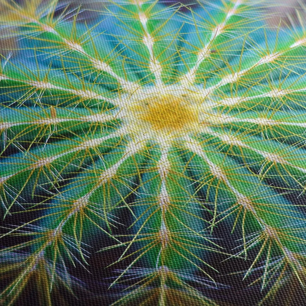 Obraz kaktusa (170x50 cm)