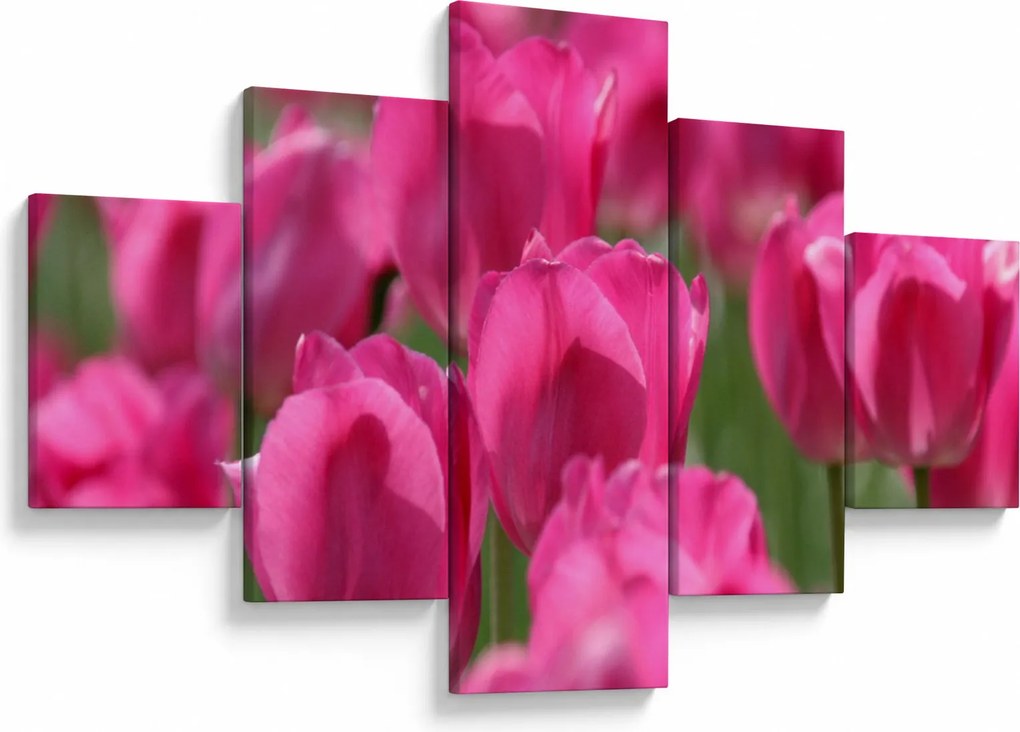 Obraz - Różowe tulipany (125x70 cm)