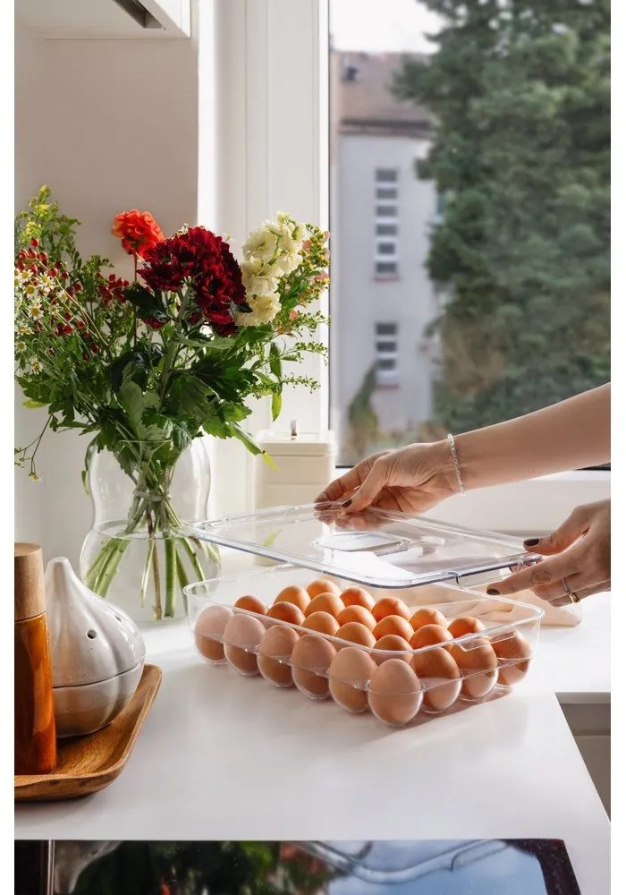 Plastikowy organizer na jajka do lodówki 33x21 cm – Casa De Engel