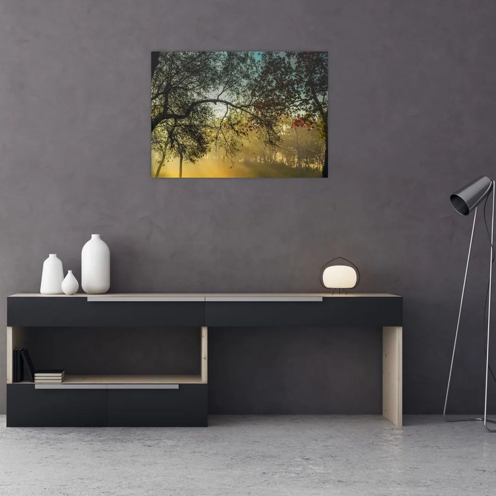 Obraz wschodu słońca (70x50 cm)
