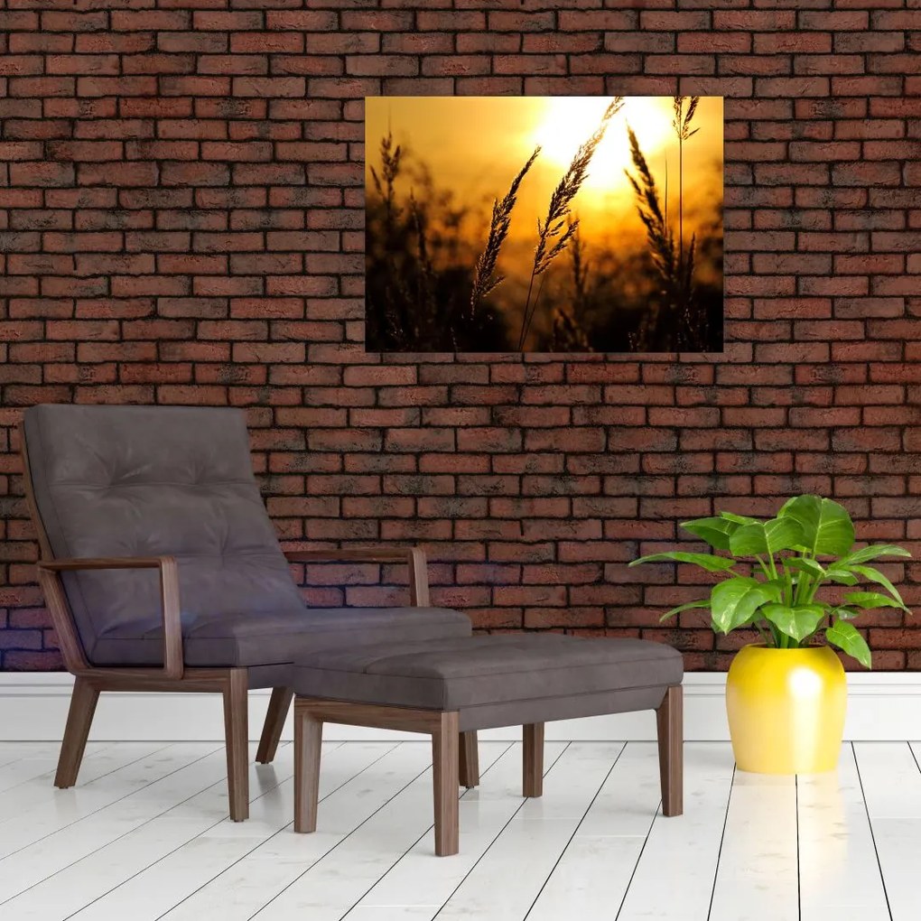 Obraz na szkle zachodzącego słońca (70x50 cm)