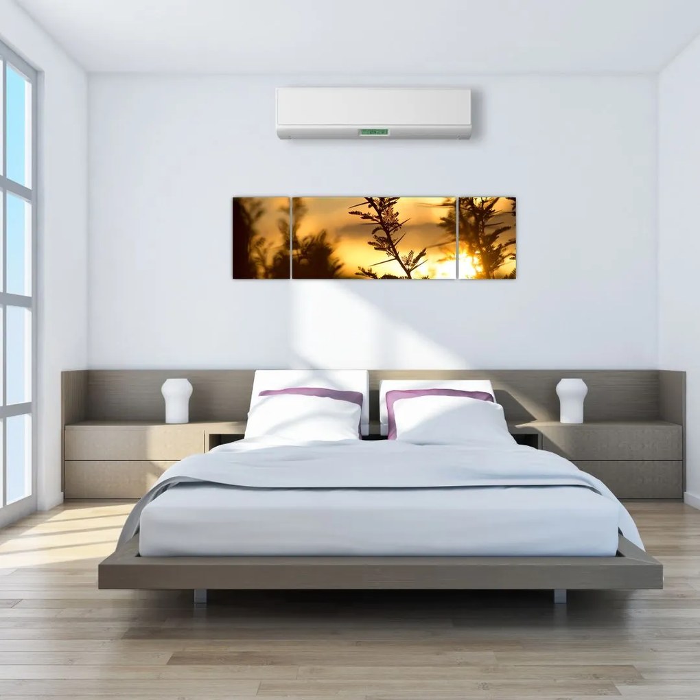 Obraz - słońce zachodzące za drzewami (170x50 cm)