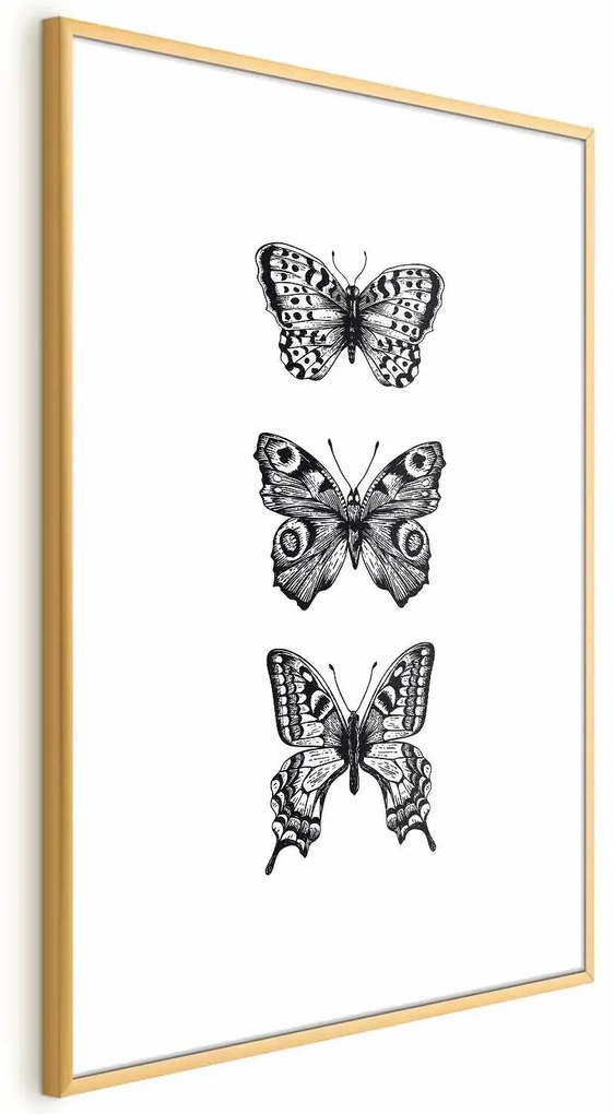Plakat Trzy motyle 40x60 cm z ramą złotą z marginesem ARTGEIST B
