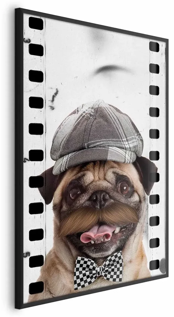 Plakat Mops w czapce 40x60 cm z ramą czarną bez marginesu ARTGEIST B