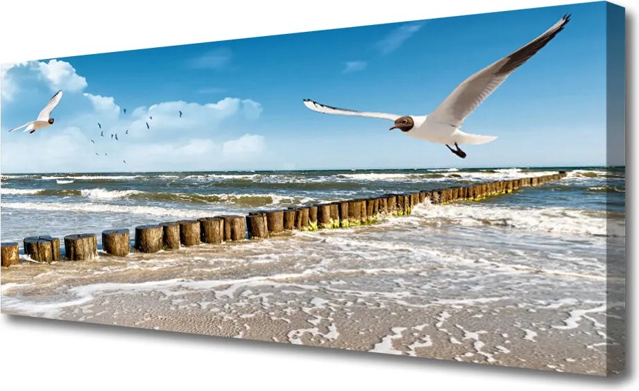 Zdjęcie na płótnie Mewy nad Morskim Brzegiem