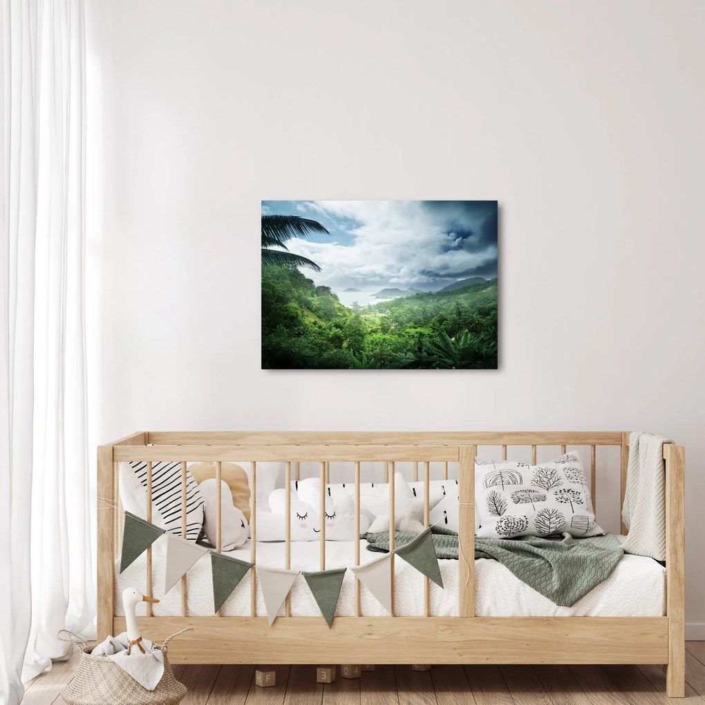 Obraz - Dżungla Seszeli (70x50 cm)