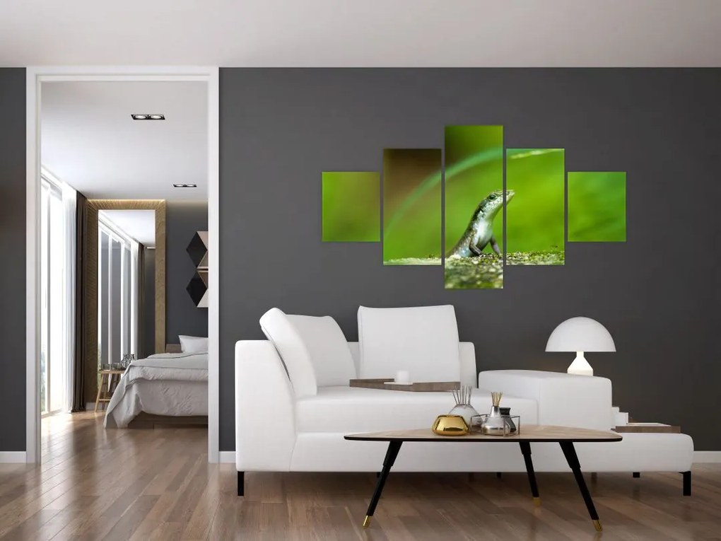 Obraz jaszczurki (125x70 cm)
