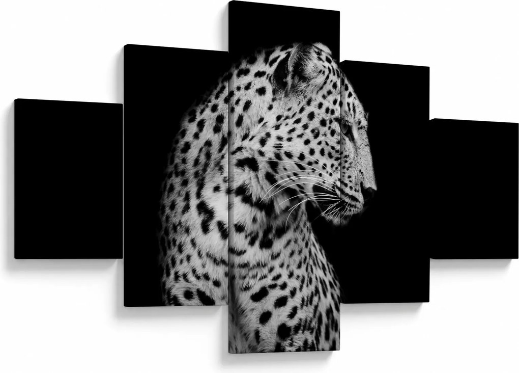 Obraz - Lampart (125x70 cm)