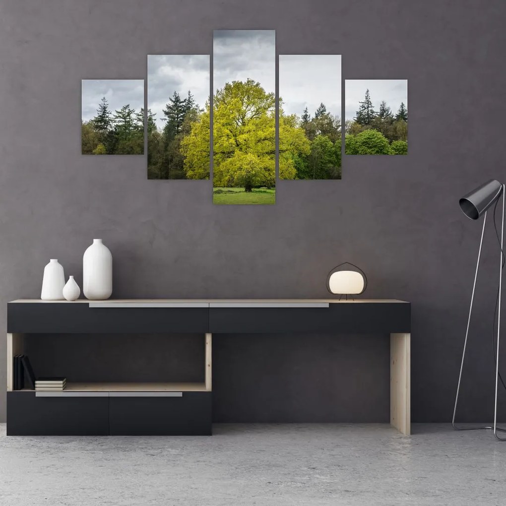 Obraz zielonego drzewa na środku pola (125x70 cm)
