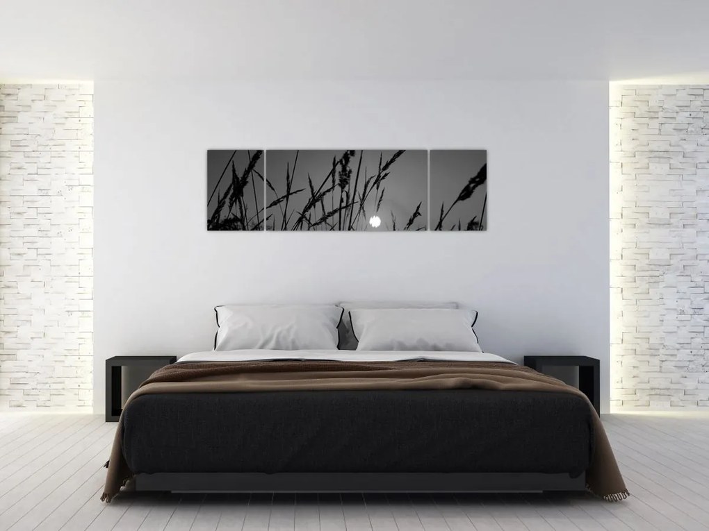 Obraz - Łąka z zachodem słońca (170x50 cm)