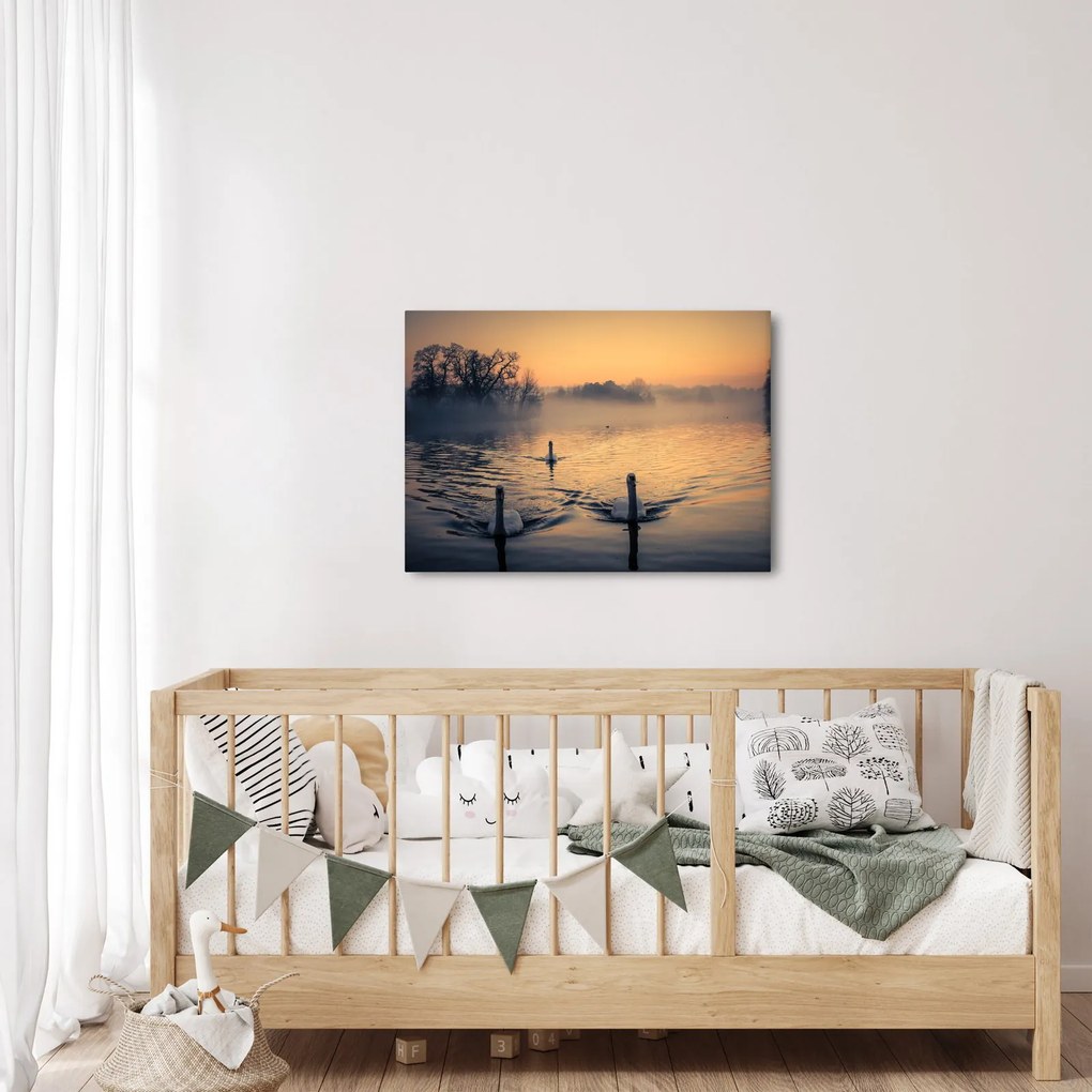 Obraz łabędzi na wodzie we mgle (70x50 cm)