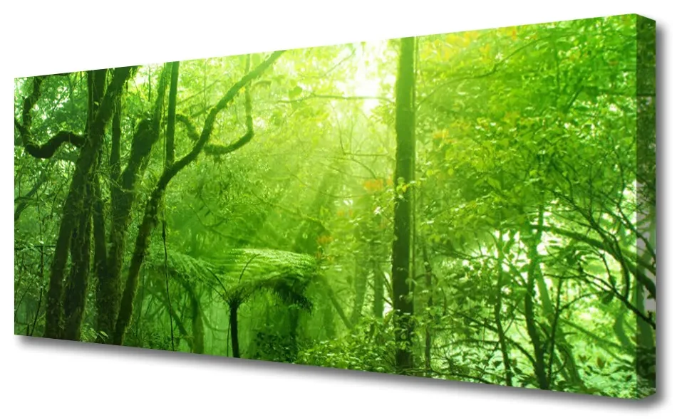 Obraz na Płótnie Drzewa Natura