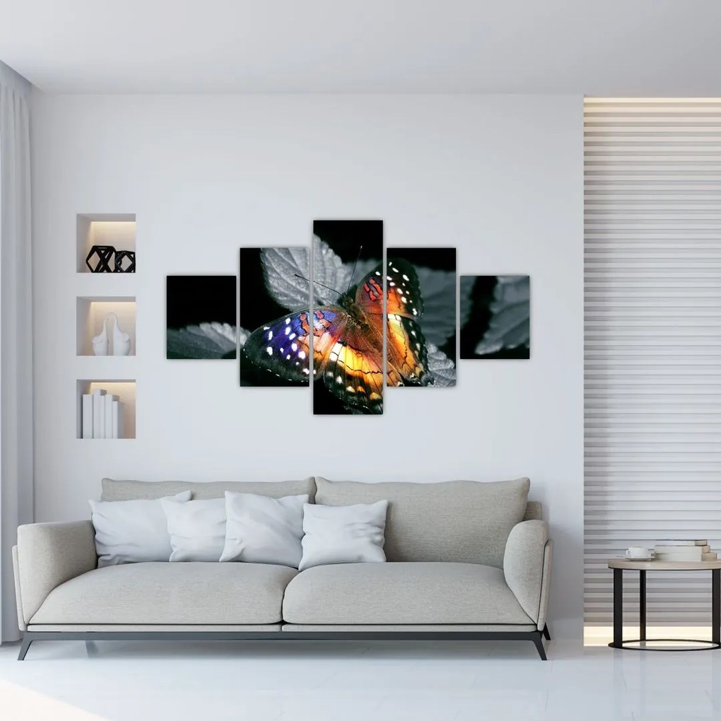 Obraz motyla (125x70 cm)