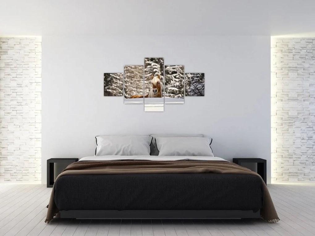 Obraz - Koń w zimowym krajobrazie (125x70 cm)