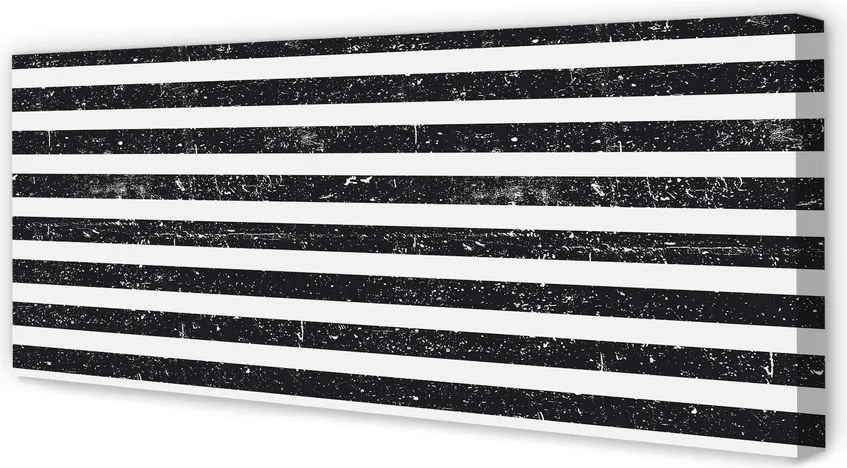 Obraz canvas na ścianę Motyw Zebry i Plam