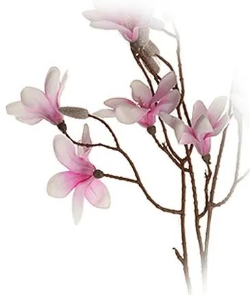 Gałązka magnolii fioletowa, wysokość 70 cm. 9kwiatów i pąków
