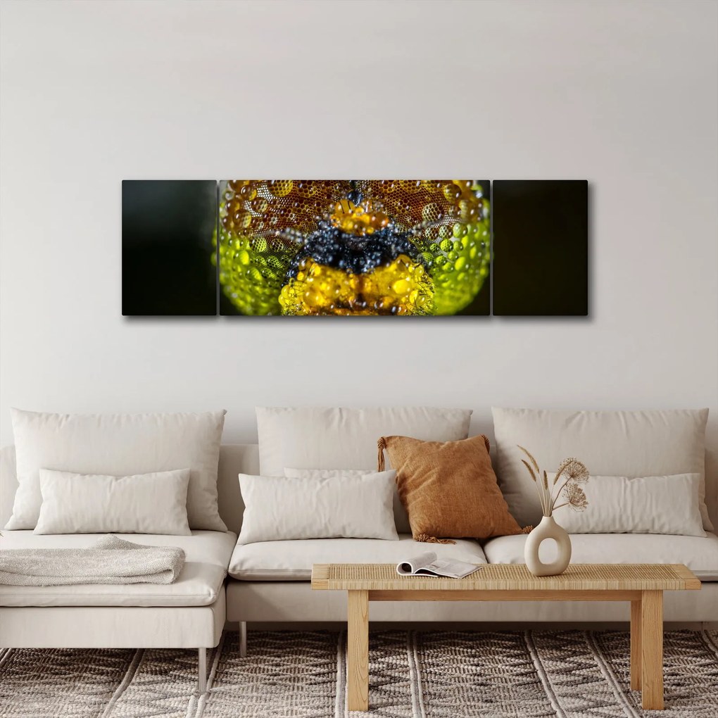 Szczegółowy obraz oczu owadów (170x50 cm)