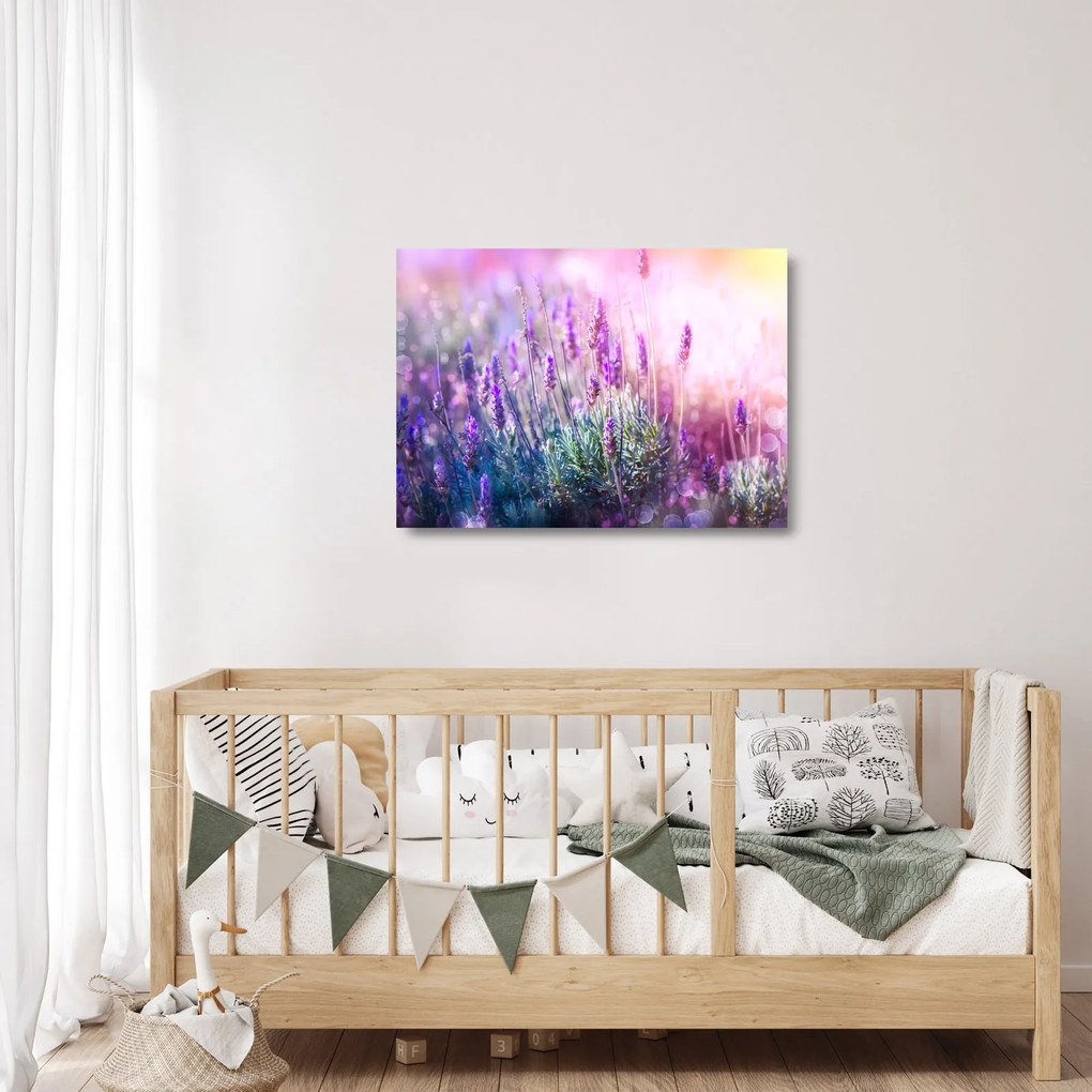 Obraz na szkle - Lawenda w słońcu (70x50 cm)