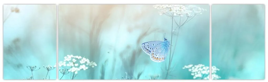 Obraz - Motyl w niebieskim (170x50 cm)